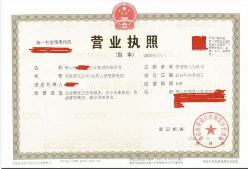 順德區(qū)企業(yè)管理公司不懂填寫經(jīng)營范圍,靠代理3天完成公司注冊(cè)